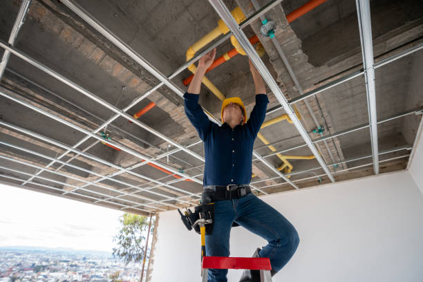 Best Sprinkler Systems  in Roessleville, NY