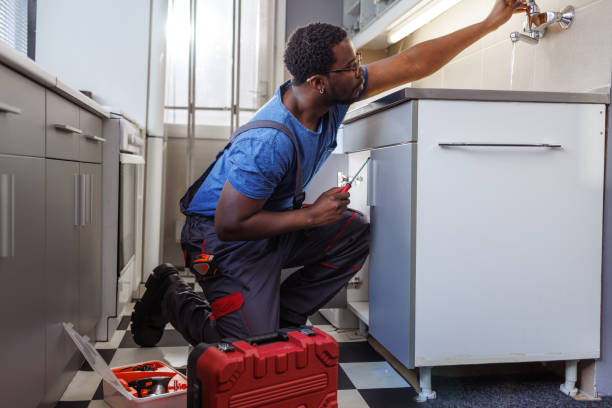 Best Plumbing Services Near Me  in Roessleville, NY